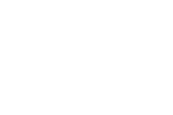 The Roku Channel